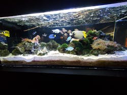 京都水族館に投稿された画像（2026/1/13）