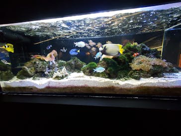 京都水族館に投稿された画像（2026/1/13）