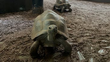 体感型動物園iZooに投稿された画像（2026/1/13）
