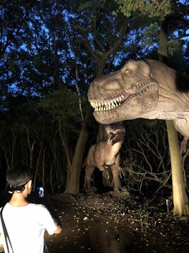 福井県立恐竜博物館に投稿された画像（2026/1/13）