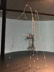 NAKED meets ガウディ展に投稿された画像（2026/1/13）