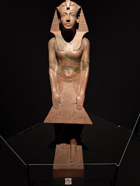 MYSTERY OF TUTANKHAMEN 体感型古代エジプト展に投稿された画像（2026/1/13）