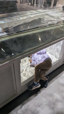 NIFREL（ニフレル）に投稿された画像（2026/1/13）