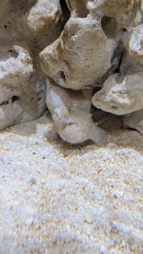 NIFREL（ニフレル）に投稿された画像（2026/1/13）