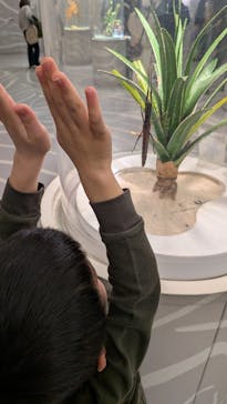 NIFREL（ニフレル）に投稿された画像（2026/1/13）