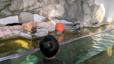 NIFREL（ニフレル）に投稿された画像（2026/1/13）