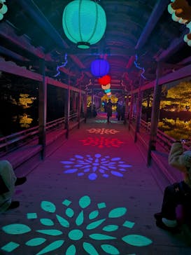 NAKEDヨルマイリ 2025-26 平安神宮に投稿された画像（2026/1/13）