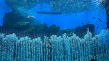 仙台うみの杜水族館に投稿された画像（2026/1/13）