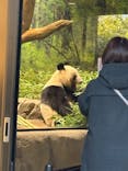 恩賜上野動物園に投稿された画像（2026/1/14）