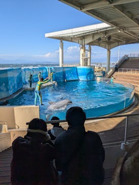 新江ノ島水族館に投稿された画像（2026/1/14）