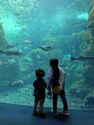 新江ノ島水族館に投稿された画像（2026/1/14）