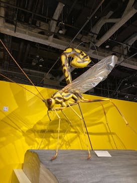 特別展「昆虫MANIAC」（名古屋会場）に投稿された画像（2026/1/14）