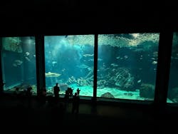 マリンワールド海の中道に投稿された画像（2026/1/14）