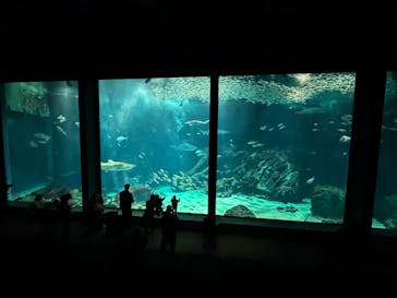 マリンワールド海の中道に投稿された画像（2026/1/14）