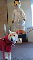 ミキモト真珠島に投稿された画像（2026/1/14）