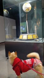 ミキモト真珠島に投稿された画像（2026/1/14）