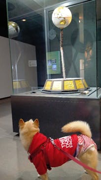 ミキモト真珠島に投稿された画像（2026/1/14）