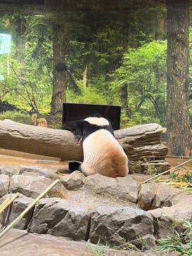 恩賜上野動物園に投稿された画像（2026/1/14）