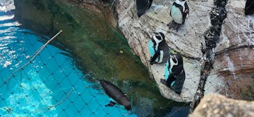 名古屋市東山動植物園に投稿された画像（2026/1/14）