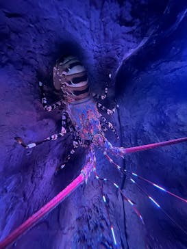 シン・マリホ水族館に投稿された画像（2026/1/14）