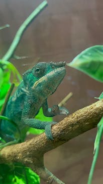 シン・マリホ水族館に投稿された画像（2026/1/14）