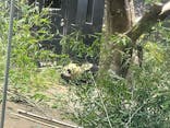 恩賜上野動物園に投稿された画像（2026/1/14）