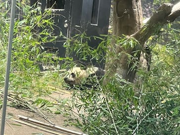 恩賜上野動物園に投稿された画像（2026/1/14）