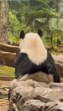 恩賜上野動物園に投稿された画像（2026/1/14）