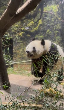 恩賜上野動物園に投稿された画像（2026/1/14）