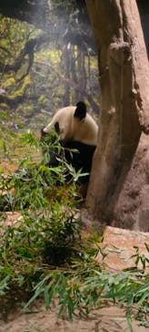 恩賜上野動物園に投稿された画像（2026/1/14）