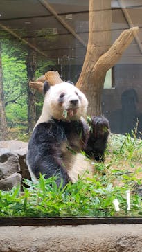 恩賜上野動物園に投稿された画像（2026/1/14）