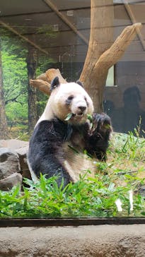 恩賜上野動物園に投稿された画像（2026/1/14）