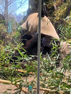 恩賜上野動物園に投稿された画像（2026/1/14）