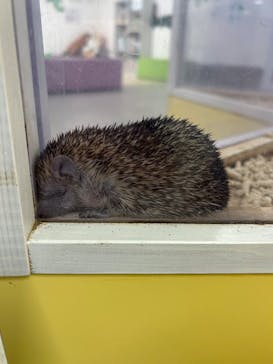 アニタッチ 東京ドームシティに投稿された画像（2026/1/14）