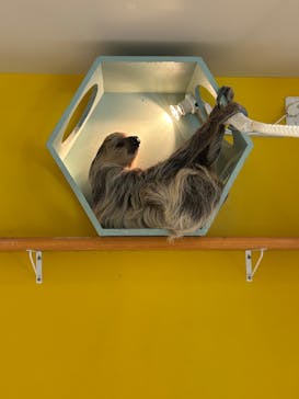 アニタッチ 東京ドームシティに投稿された画像（2026/1/14）