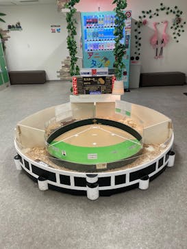 アニタッチ 東京ドームシティに投稿された画像（2026/1/14）