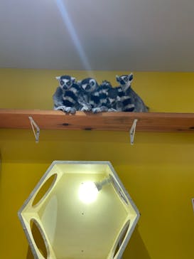 アニタッチ 東京ドームシティに投稿された画像（2026/1/14）