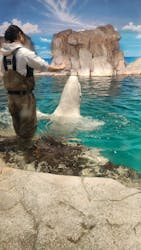 名古屋港水族館に投稿された画像（2026/1/14）