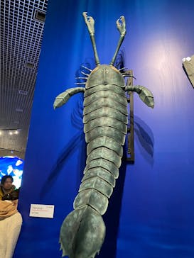 特別展「大絶滅展―生命史のビッグファイブ」に投稿された画像（2026/1/14）