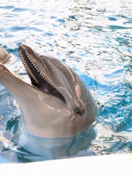 新江ノ島水族館に投稿された画像（2026/1/14）