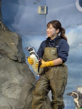 新江ノ島水族館に投稿された画像（2026/1/14）