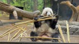 恩賜上野動物園に投稿された画像（2026/1/14）