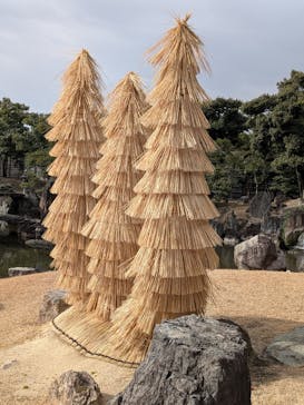 元離宮二条城に投稿された画像（2026/1/14）