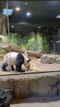 恩賜上野動物園に投稿された画像（2026/1/14）