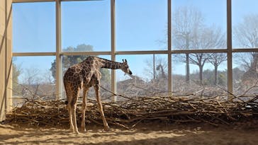 こども動物自然公園（埼玉県公園緑地協会）に投稿された画像（2026/1/14）