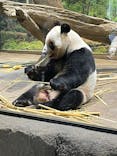 恩賜上野動物園に投稿された画像（2026/1/14）