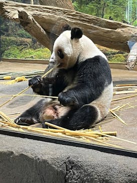 恩賜上野動物園に投稿された画像（2026/1/14）
