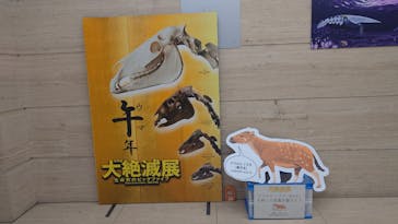 特別展「大絶滅展―生命史のビッグファイブ」に投稿された画像（2026/1/14）