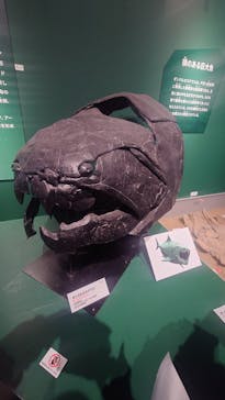 特別展「大絶滅展―生命史のビッグファイブ」に投稿された画像（2026/1/14）