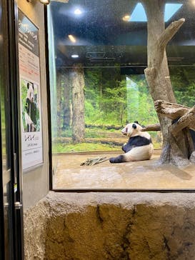 恩賜上野動物園に投稿された画像（2026/1/14）